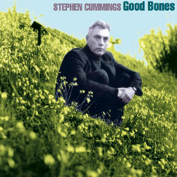 Stephen Cummings: Good Bones