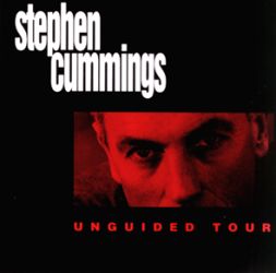 Stephen Cummings: Unguided Tour